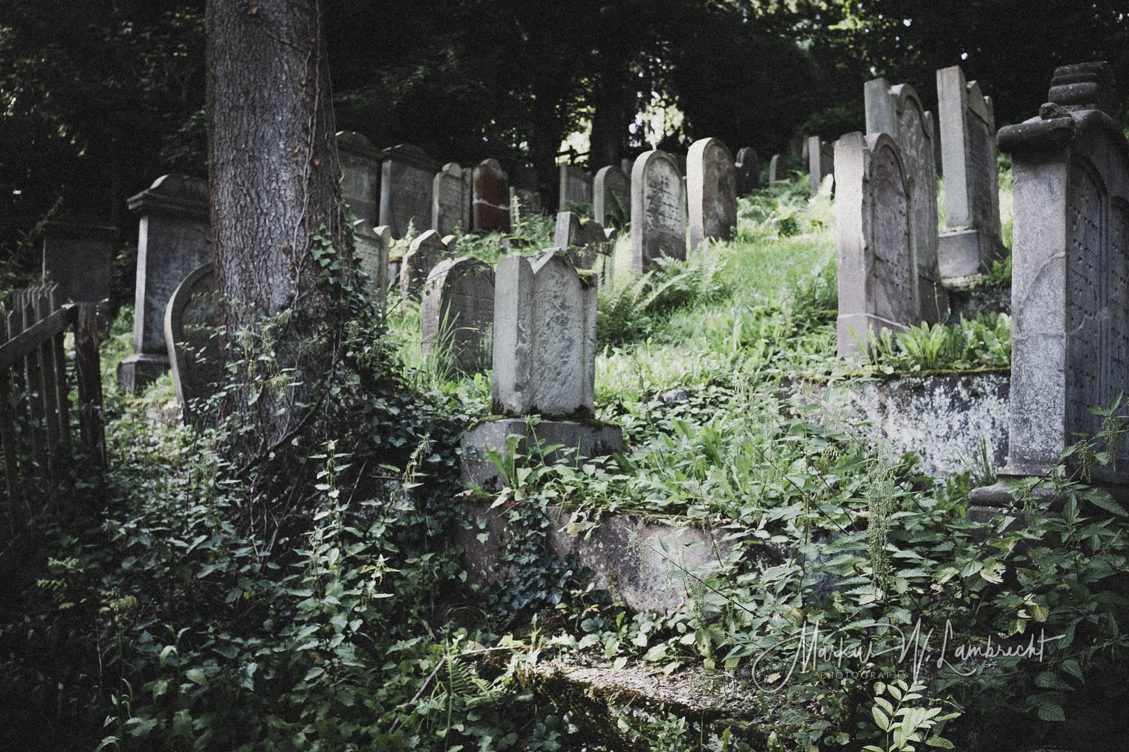 Adelebsen, Jüdischer Friedhof
